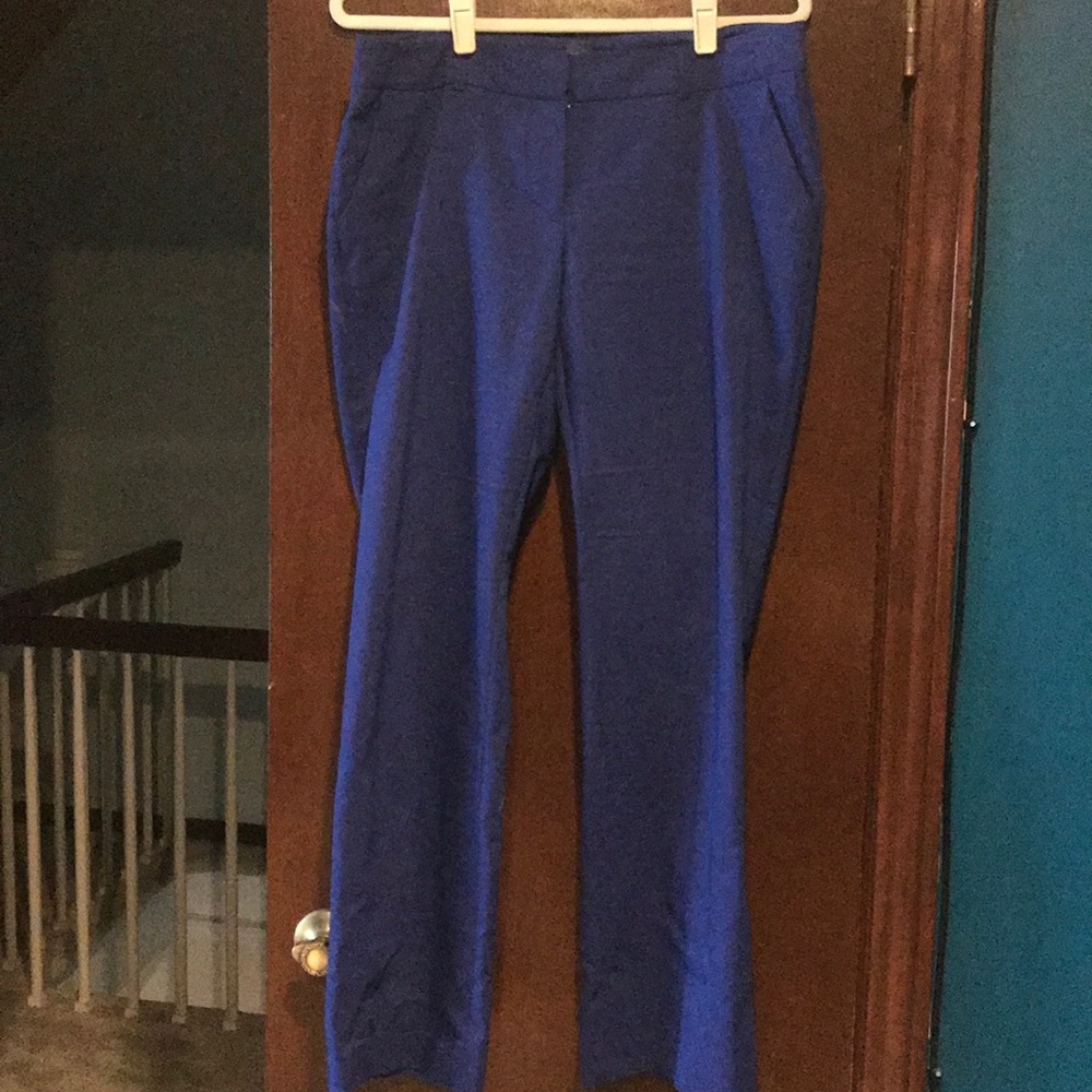 Royal blue dress pant